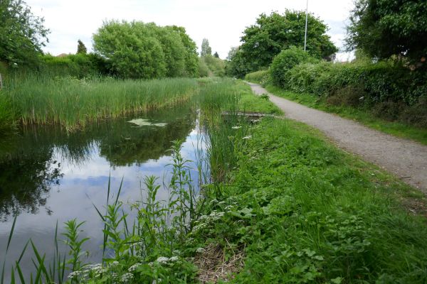 Maybe a canal path